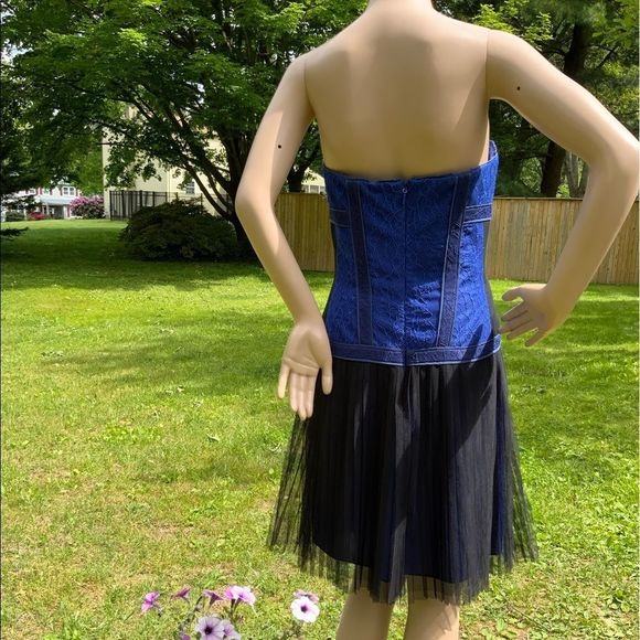 NWT $338 BCBGMAXAZRIA | Galia |  Strapless Fringe Hem Lace Corset Dress in Blue - Picture 9 of 16